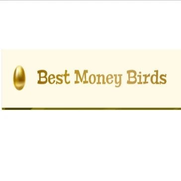 Money Birds