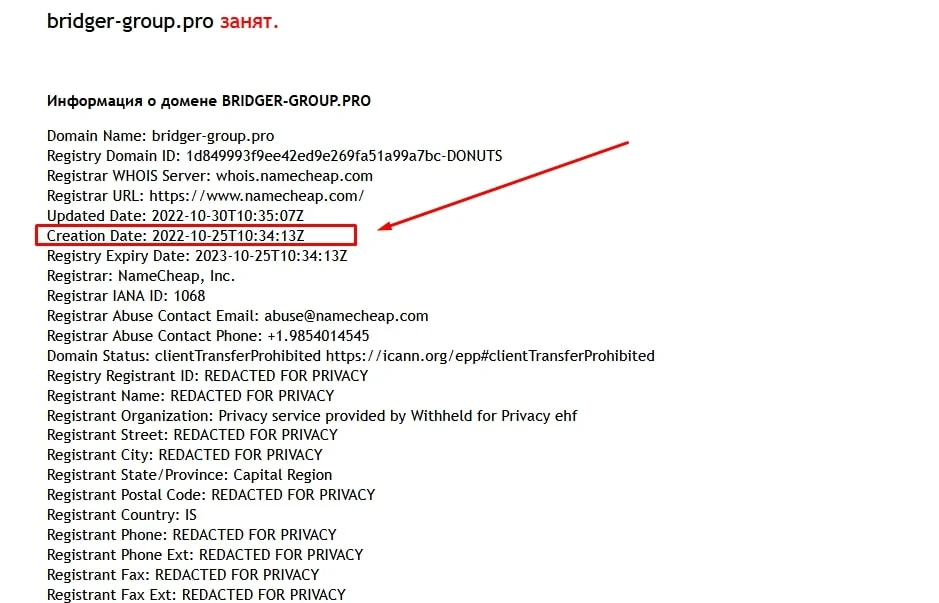 Bridger Group домен