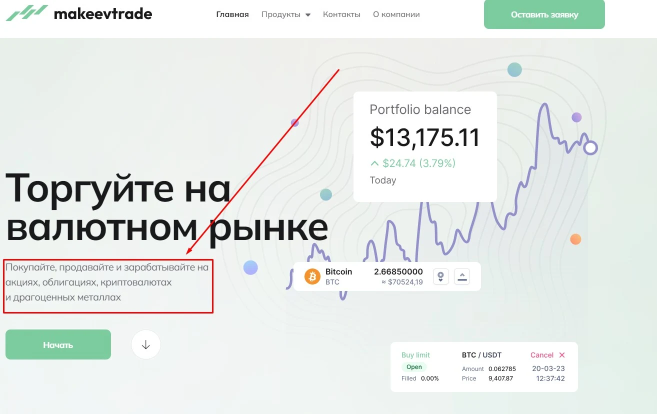Денис Макеев обзор проекта