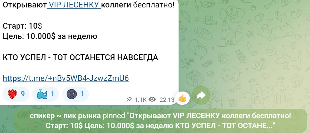 Спикер Пик рынка обзор канала