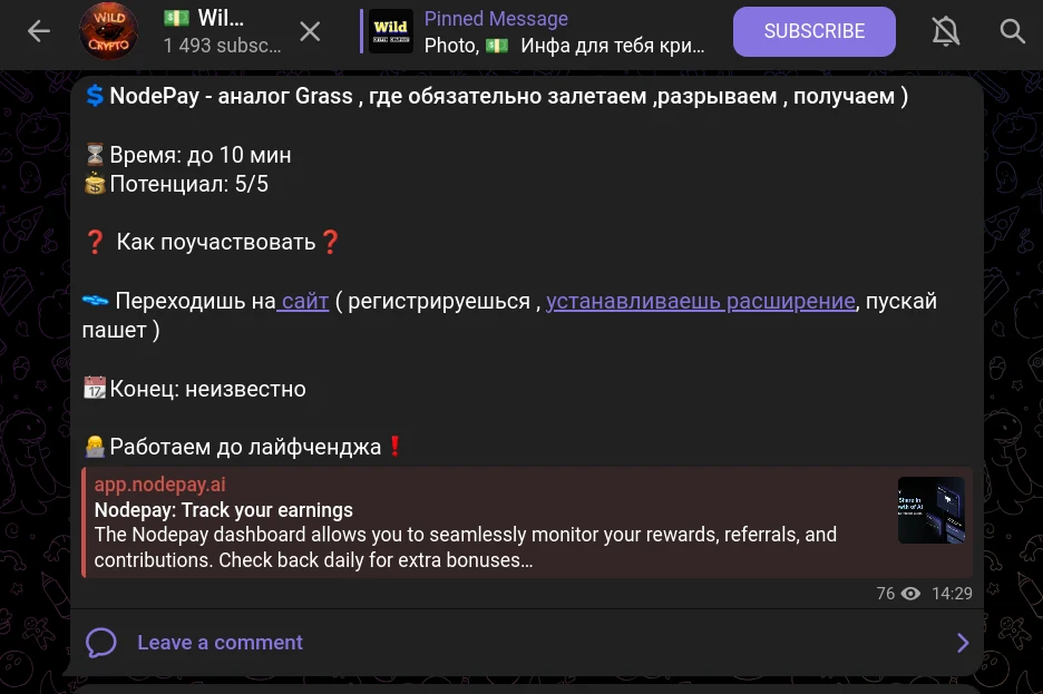 Wild Crypto