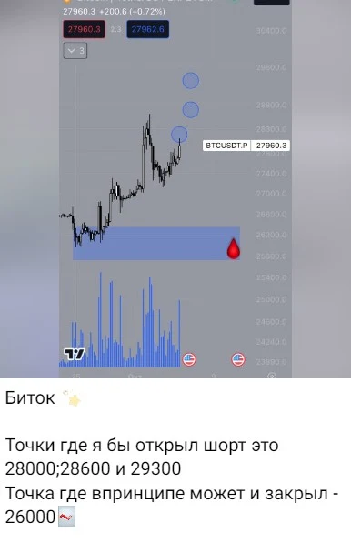 акулья гавань телеграм канал