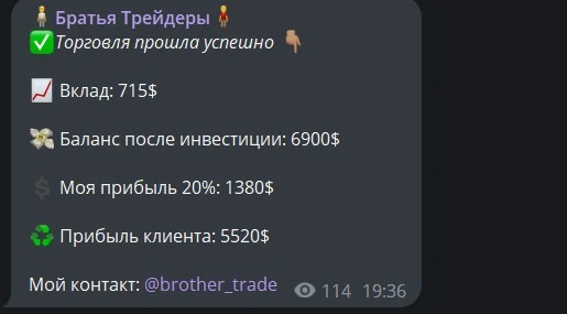 Обзор проекта Brother Trade