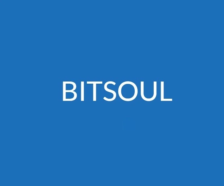 BITSOUL