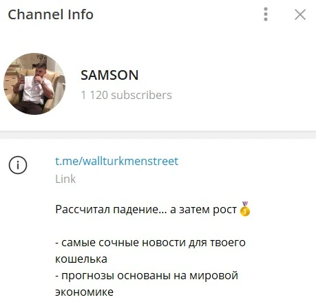 Телеграм SAMSON обзор