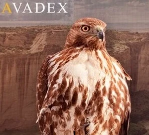 Avadex pro