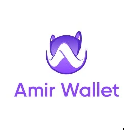 Amirwallet com