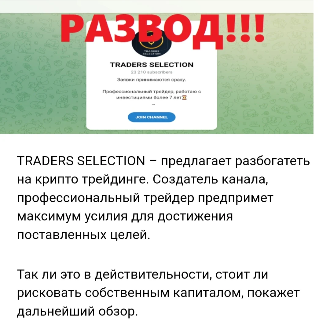 Traders Selection развод