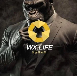 WX Life