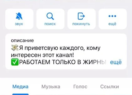 Серёга вещает проект обзор