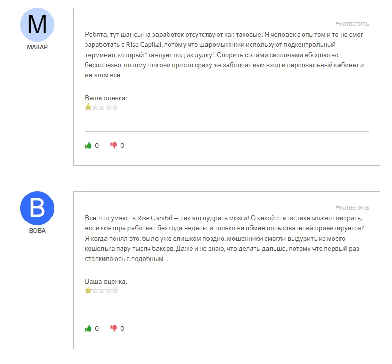 Rise Capital отзывы