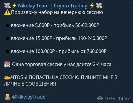 Nikolay Team телеграм раскрутка