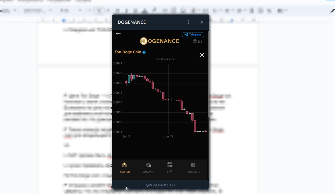 ton doge coin