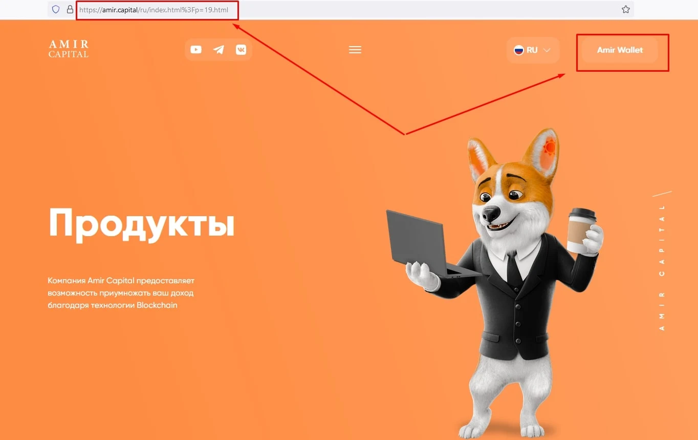 Amir Capital продукты