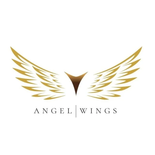 Angel Wings инвестиции