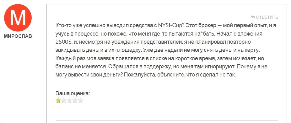 NYSI Cup отзывы