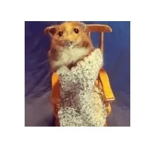 Уютный Трейд