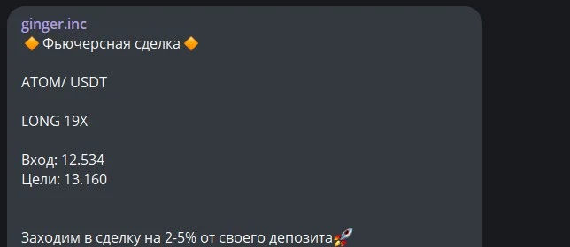 Обзор проекта Ginger