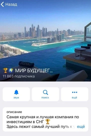 Мир Будущего телеграм