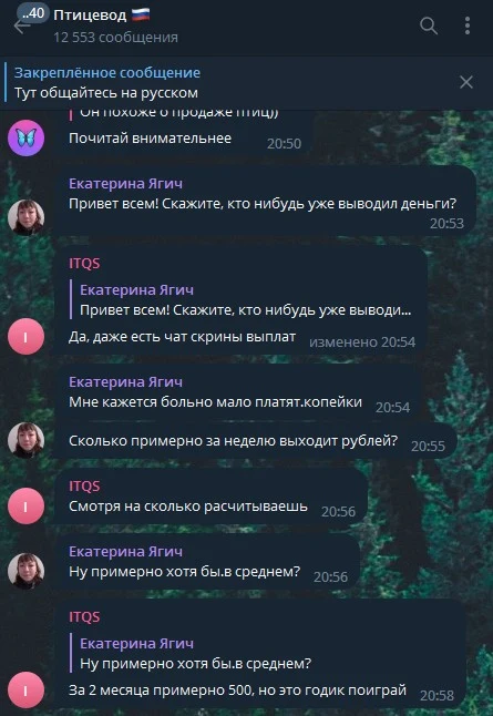 игра на деньги птицевод телеграм