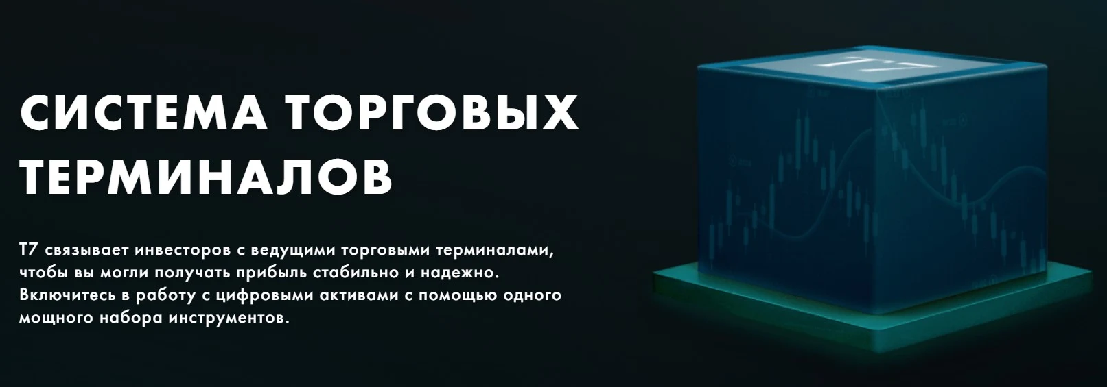 terminal7 обзор компании