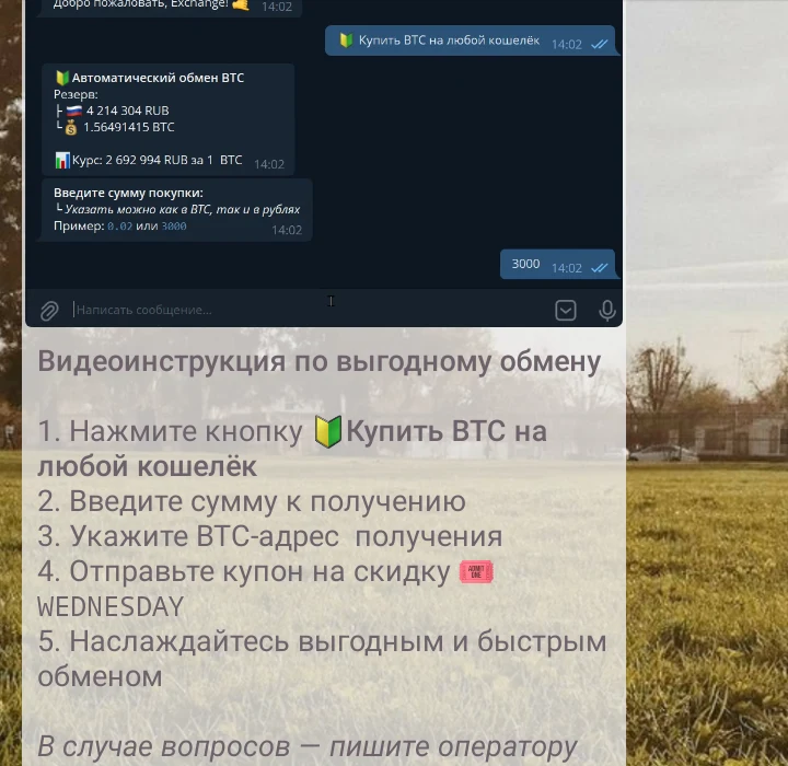 vipbit biz