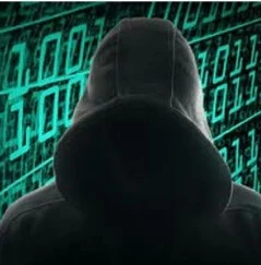 Crypto sekta