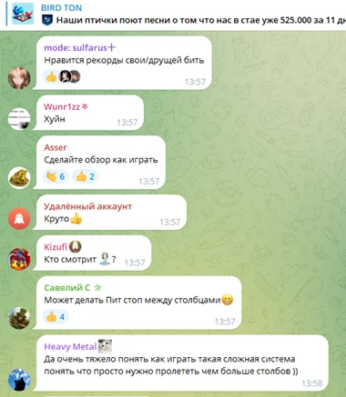 bird ton скам