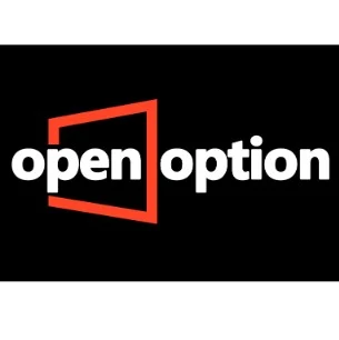 OpenOption