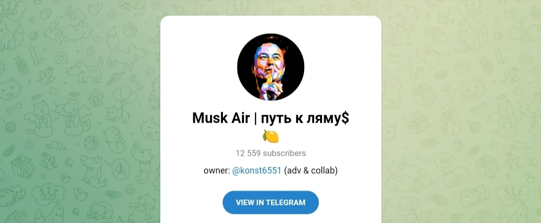musk air путь к ляму