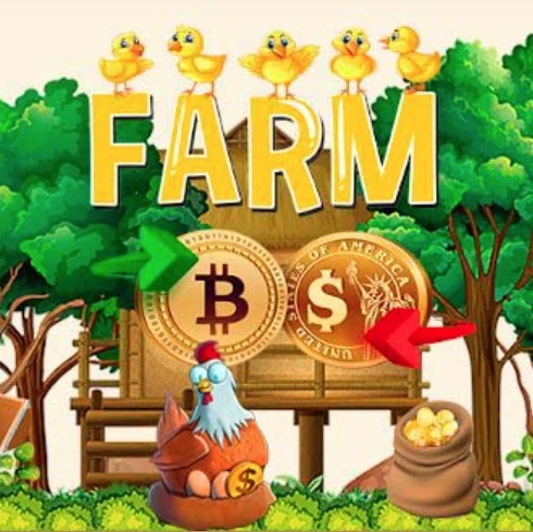 Chickens Farm