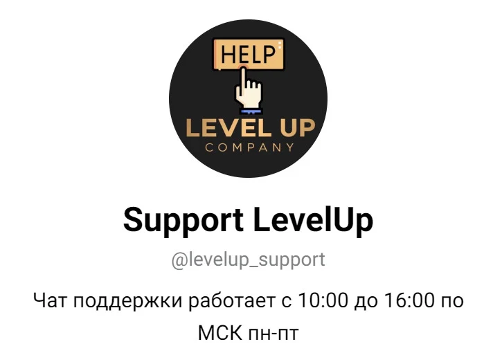 страница levelup support