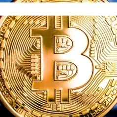 Bitcobid Com