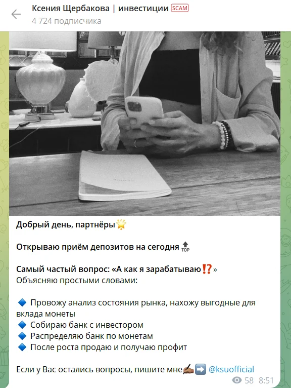 ксения щербакова инвестиции