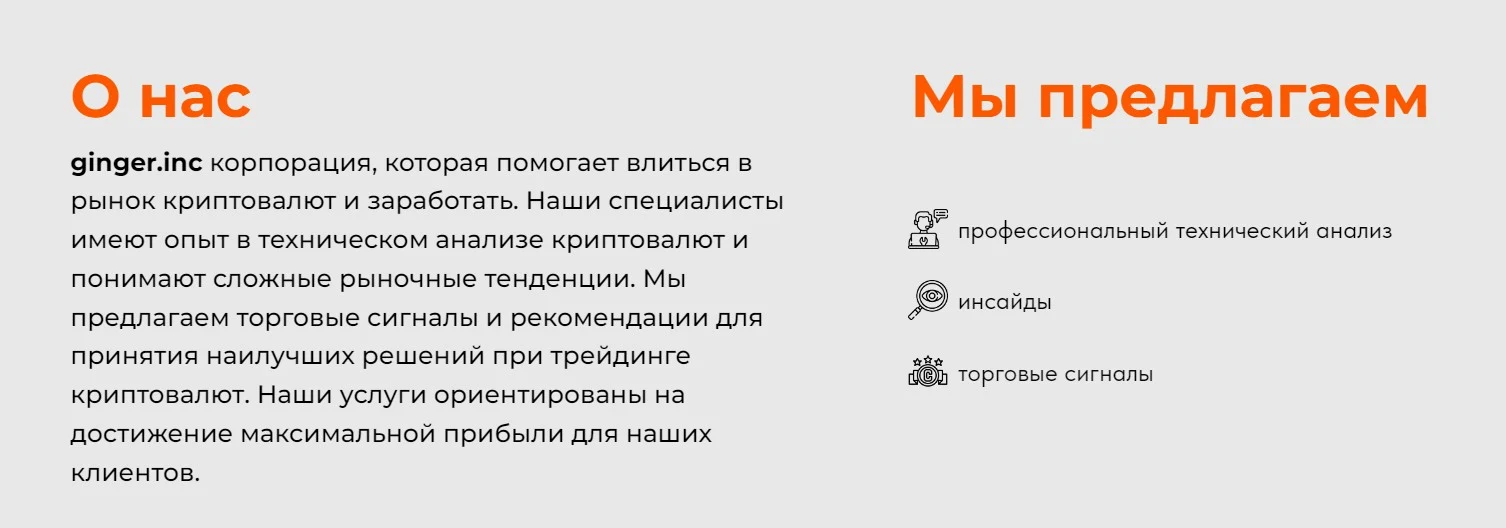 Ginger обзор проекта