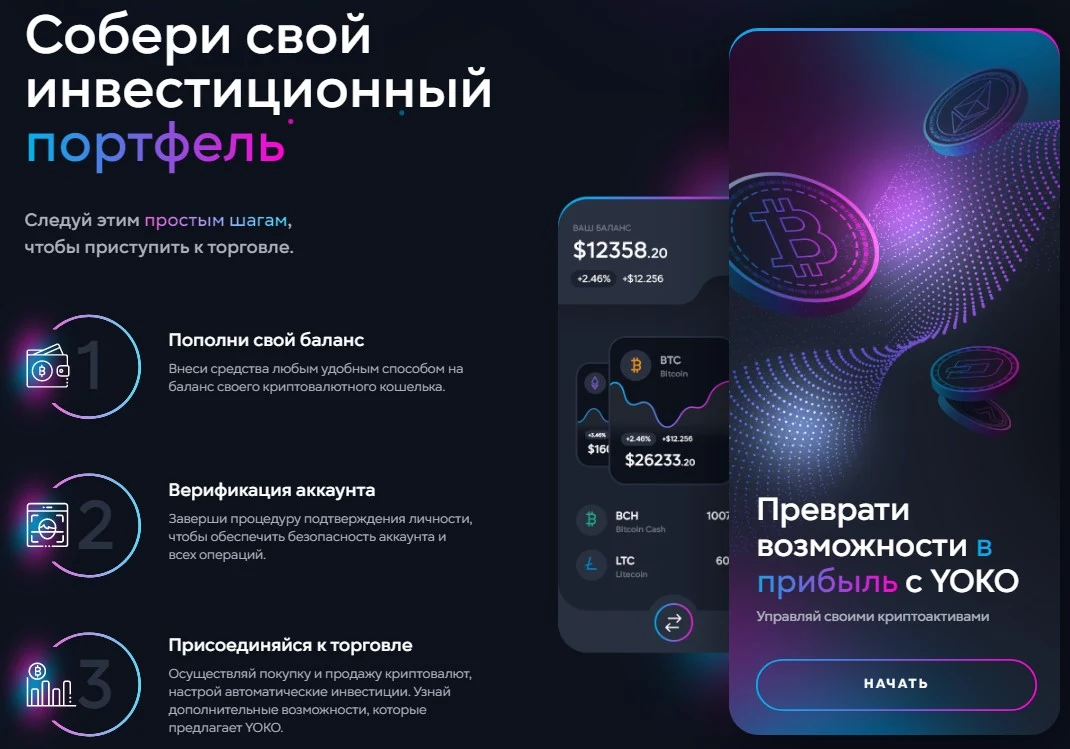 йоко программа