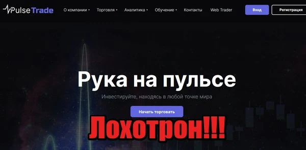 Pulse trade обзор компании