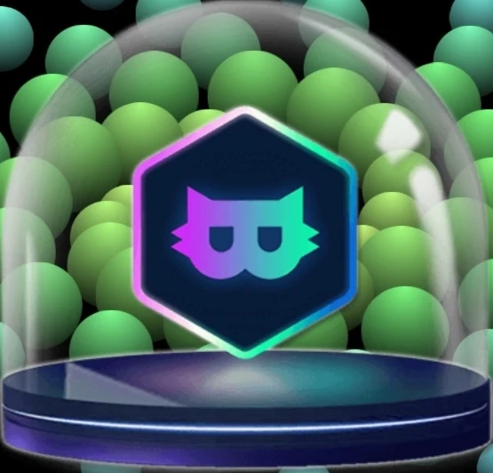 Catly io
