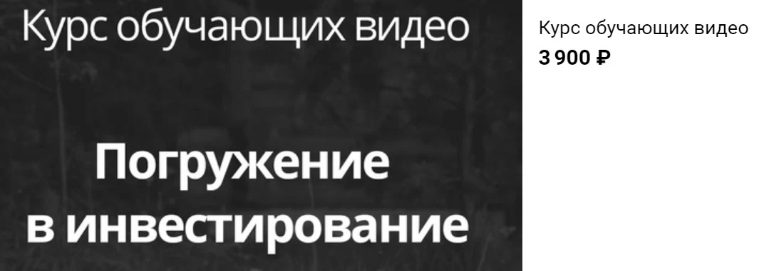 Владимир Литвинов инвест тема курс