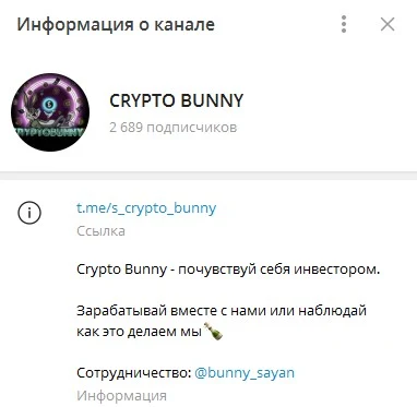 crypto bunny
