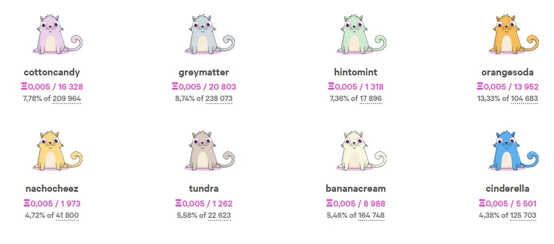 крипто котята крипто