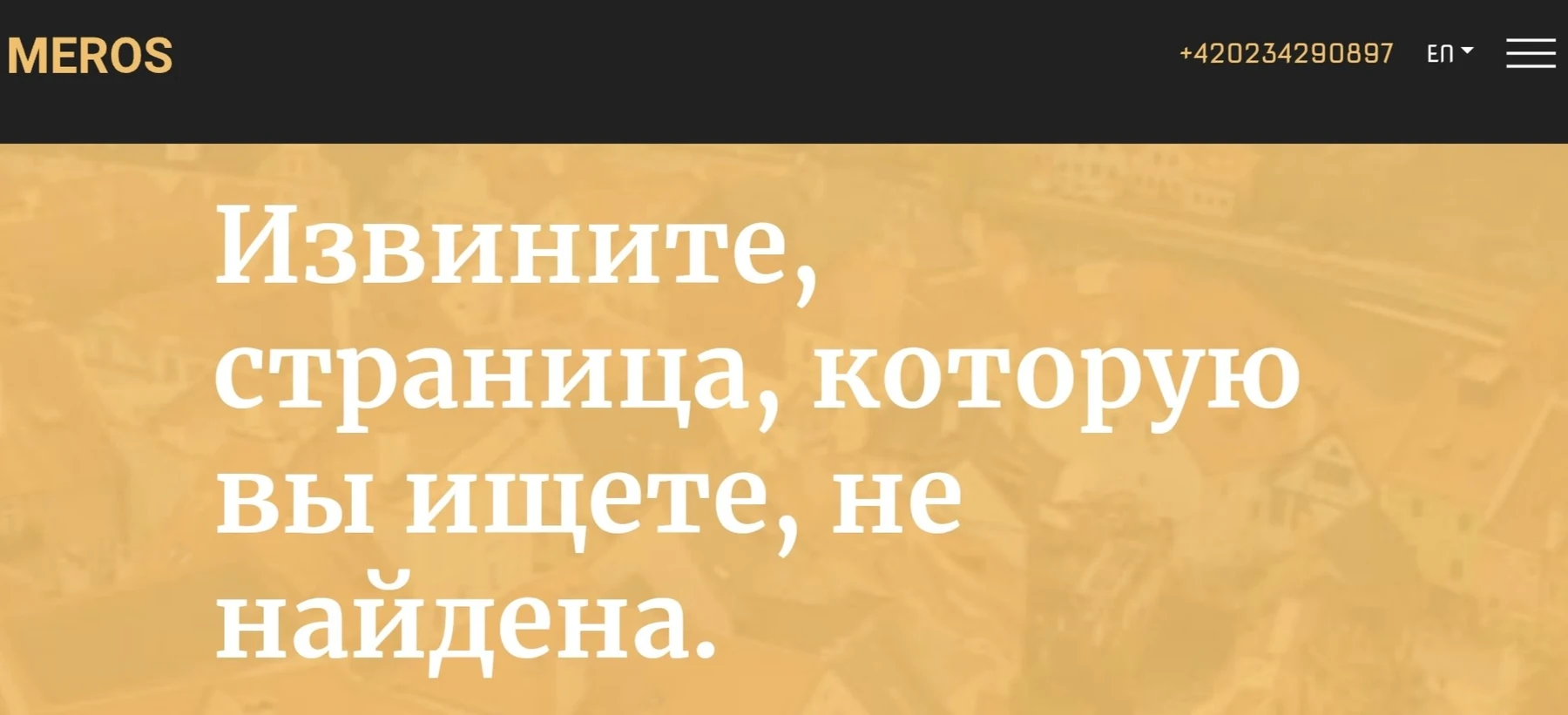 meros equity инвестиции 2020