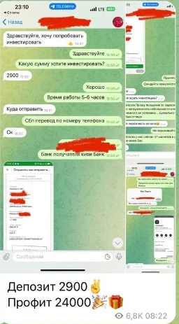 Телеграм damirzcrpton отзывы клиентов