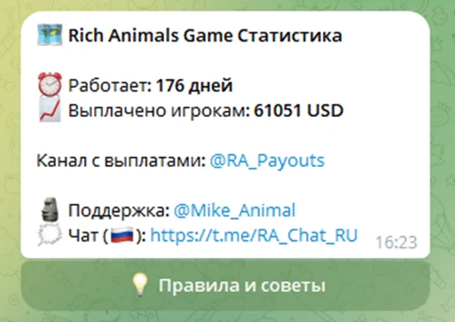 rich animals обзор
