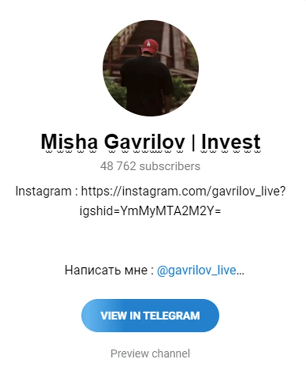misha gavrilov invest