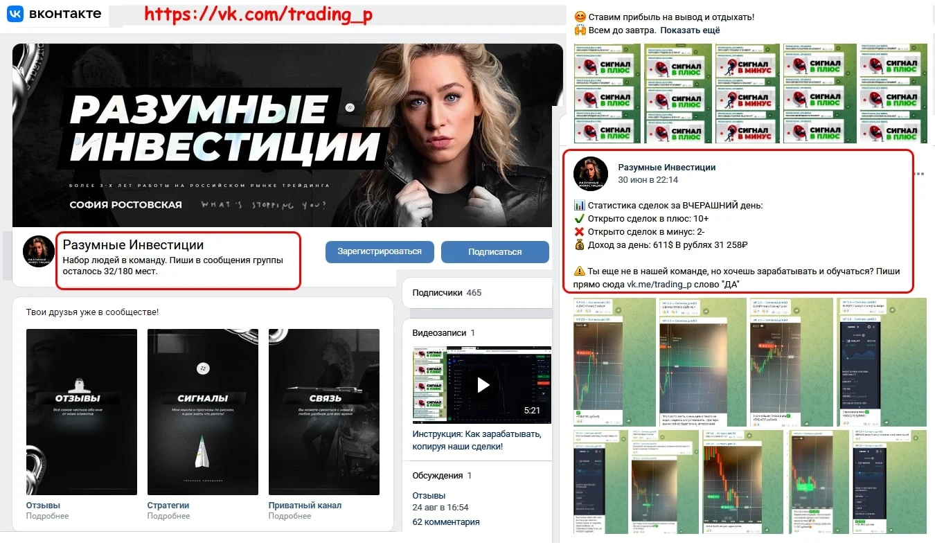 София Ростовская разумные инвестиции вк