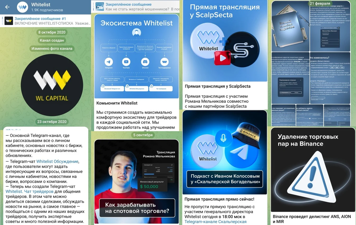 Телеграм Whitelist capital
