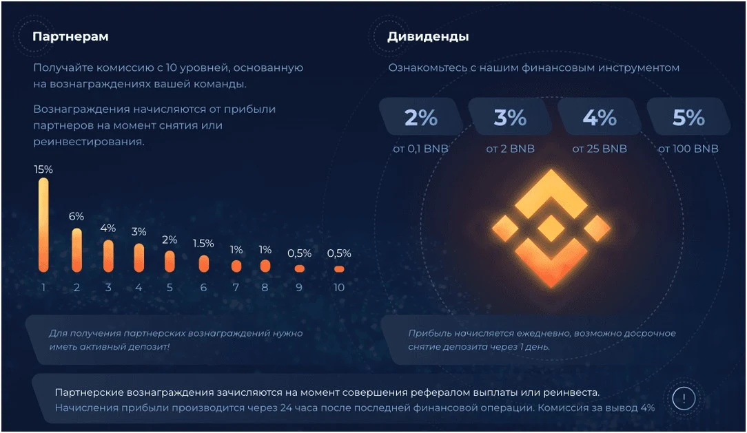 Дорудус условия проекта