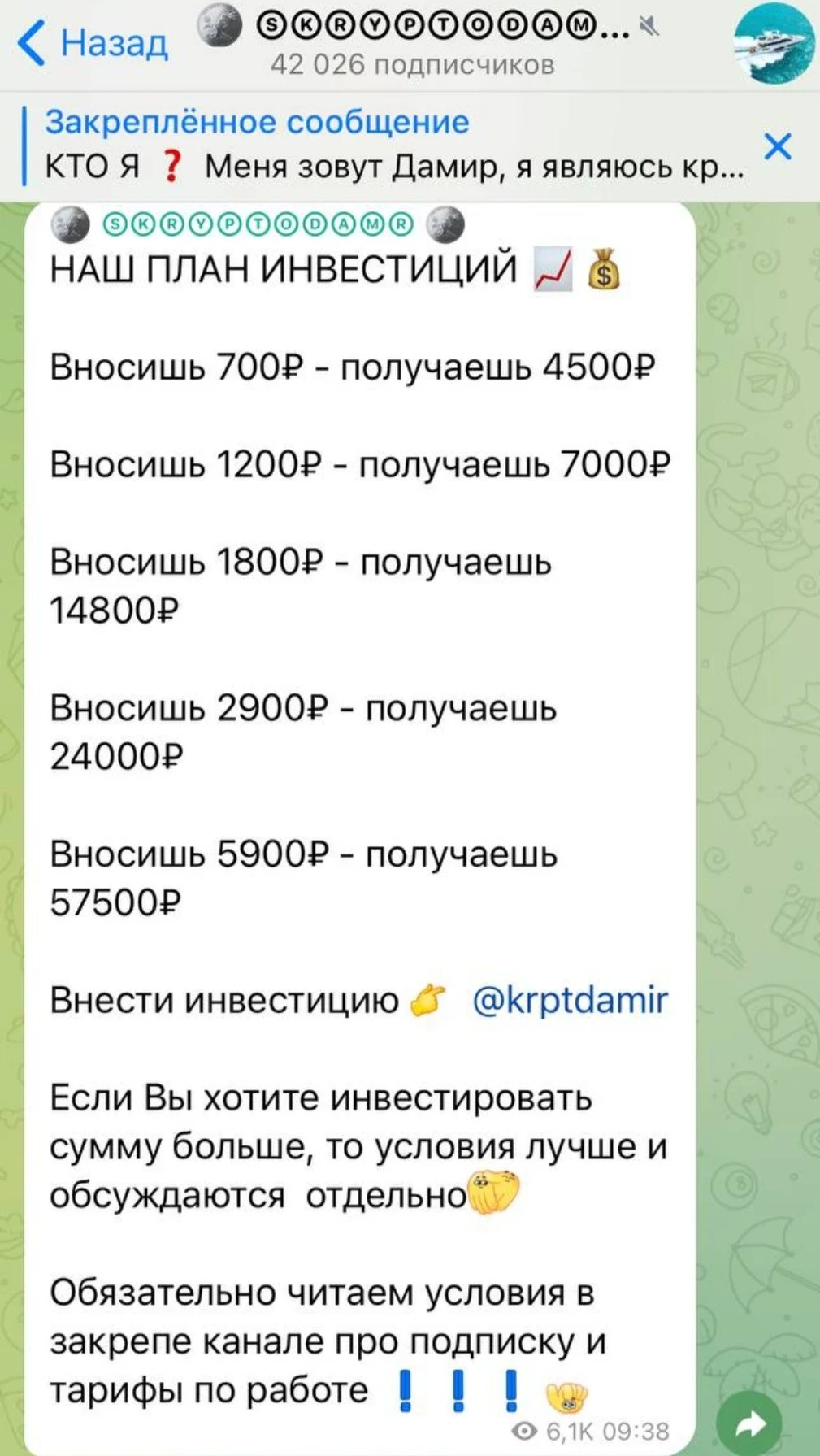 Skryptodamr условия инвестирования