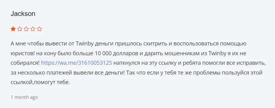 твинбай отзывы